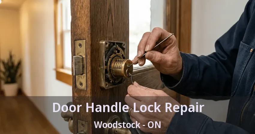 Door Handle Lock Repair Woodstock - ON