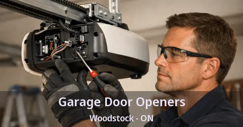 Garage Door Openers Woodstock - ON
