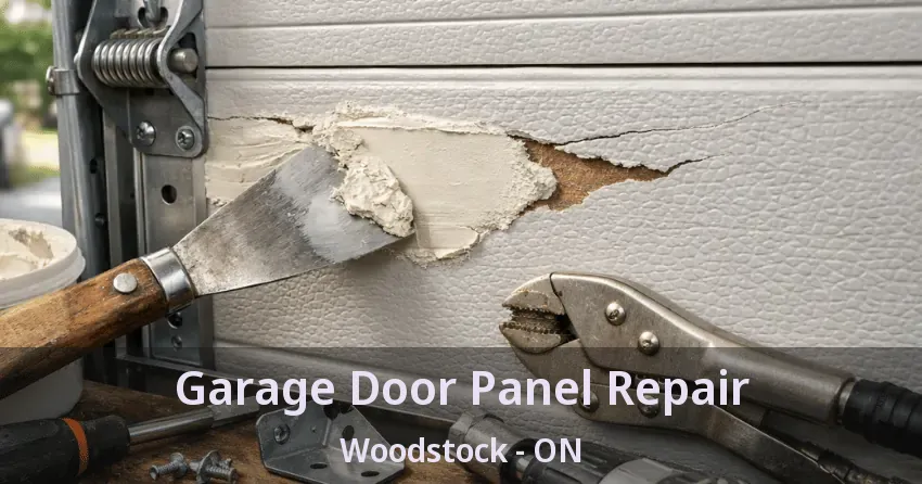 Garage Door Panel Repair Woodstock - ON