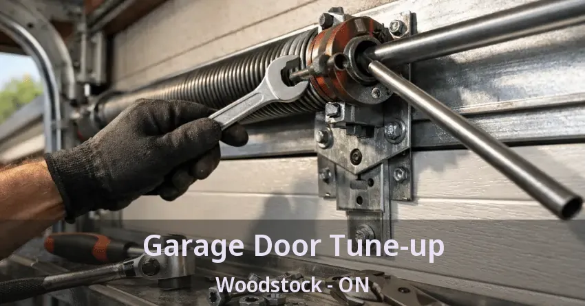 Garage Door Tune-up Woodstock - ON