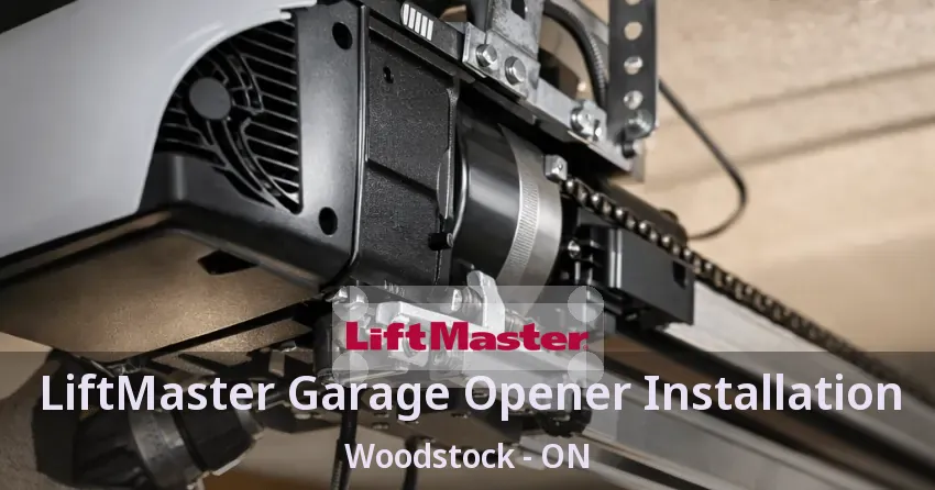 LiftMaster Garage Opener Installation Woodstock - ON