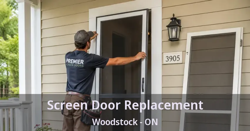 Screen Door Replacement Woodstock - ON