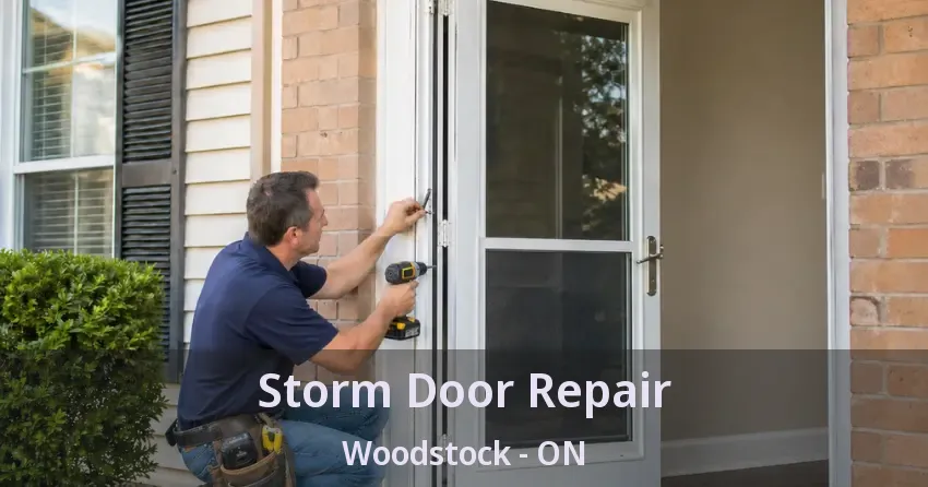 Storm Door Repair Woodstock - ON