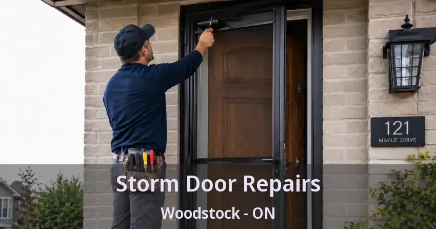 Storm Door Repairs Woodstock - ON